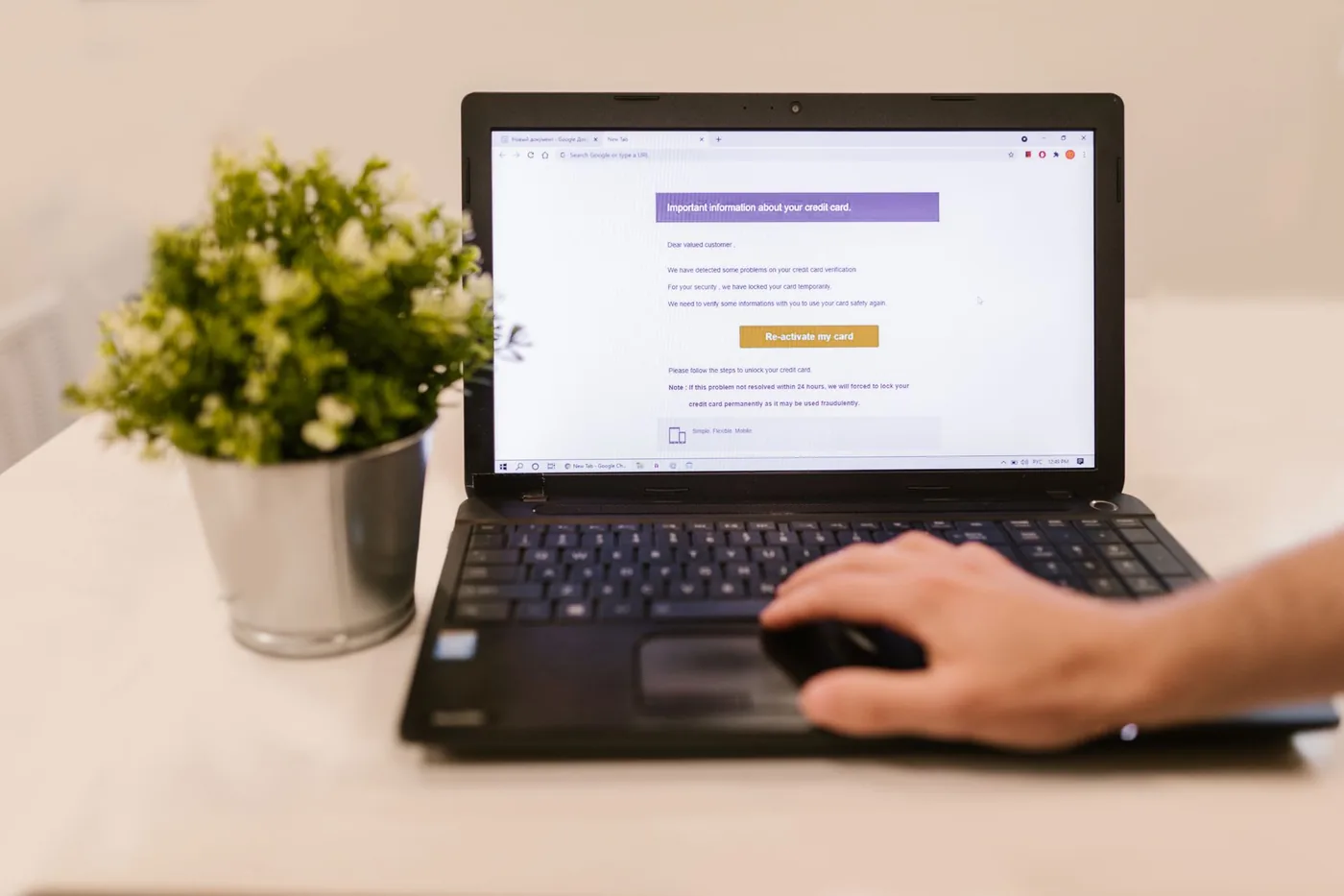 Ověřování plátce DPH v online registru